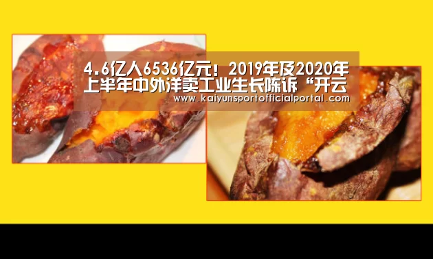 4.6亿人6536亿元!2019年及2020年上半年中外洋卖工业生长陈诉“开云体育官网”(图1)
4.6亿人6536亿元!2019年及2020年上半年中外洋卖工业生长陈诉“开云体育官网”(图1)